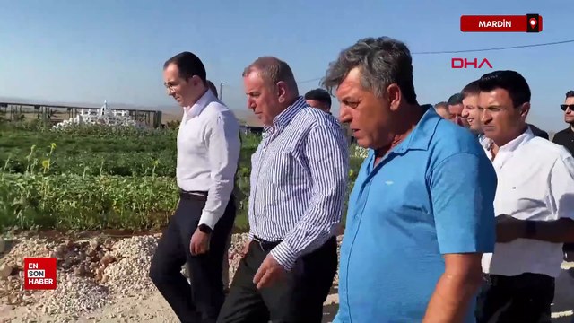 Mardin'de 50 yıl sonra mahallelerine dönen Yezidiler asfalt sevincini halayla kutladı