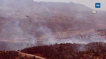 Şırnak'ta orman ve örtü yangını; havadan ve karadan müdahale ediliyor!