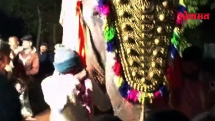 माधुरी हत्तीण कोल्हापुरात परत येणार? वनताराने जारी केलेल्या पत्रकात काय?