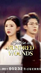 love in a hundred wounds chinese drama