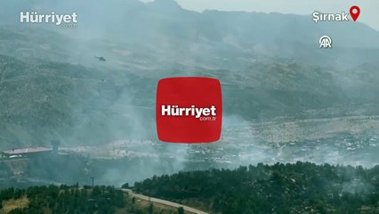 Şırnak’ta orman ve örtü yangını
