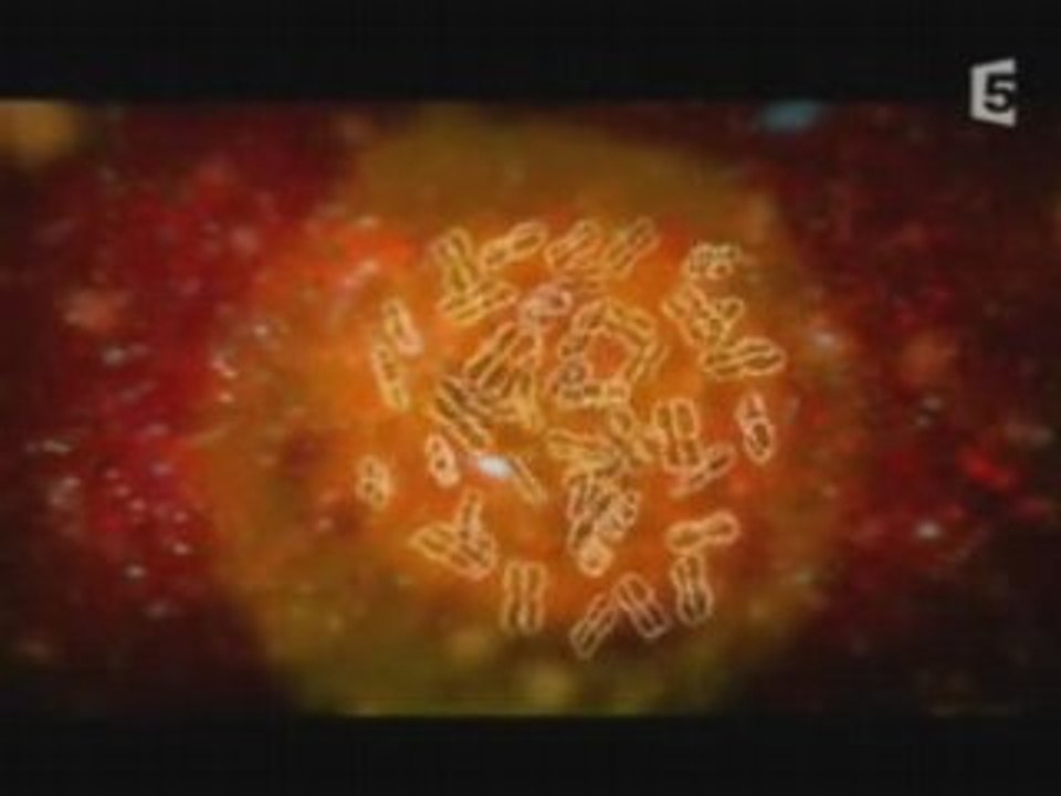 NAISSANCE