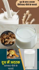 दूध में अदरक खाने के फायदे