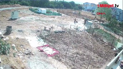Esenyurt'ta köpek işkenceyle öldürüldü iddiası