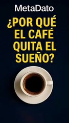 ¿Por qué el café te mantiene despierto La ciencia detrás del efecto - MetaDato (360p, h264)