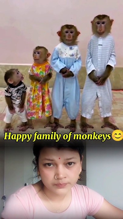 Monkey family