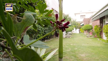 Rasm e Wafa Episode 3   Hina Chaudhary   Arslan Khan   Umer Alam   3 Aug 2025   ARY Digital