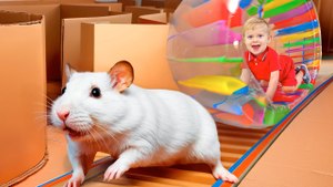 Trapped in the Hamster Maze!  Kids Must Escape!