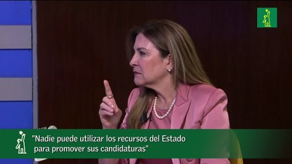 "Nadie puede utilizar los recursos del Estado para promover sus candidaturas"