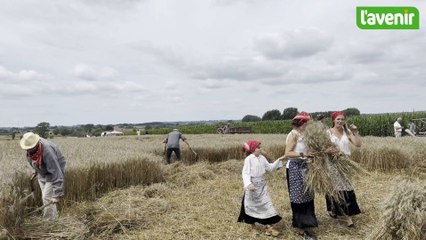 Cinquantième fête de la moisson à Lahamaide