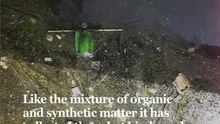 Pollution collector biodegradable robot
