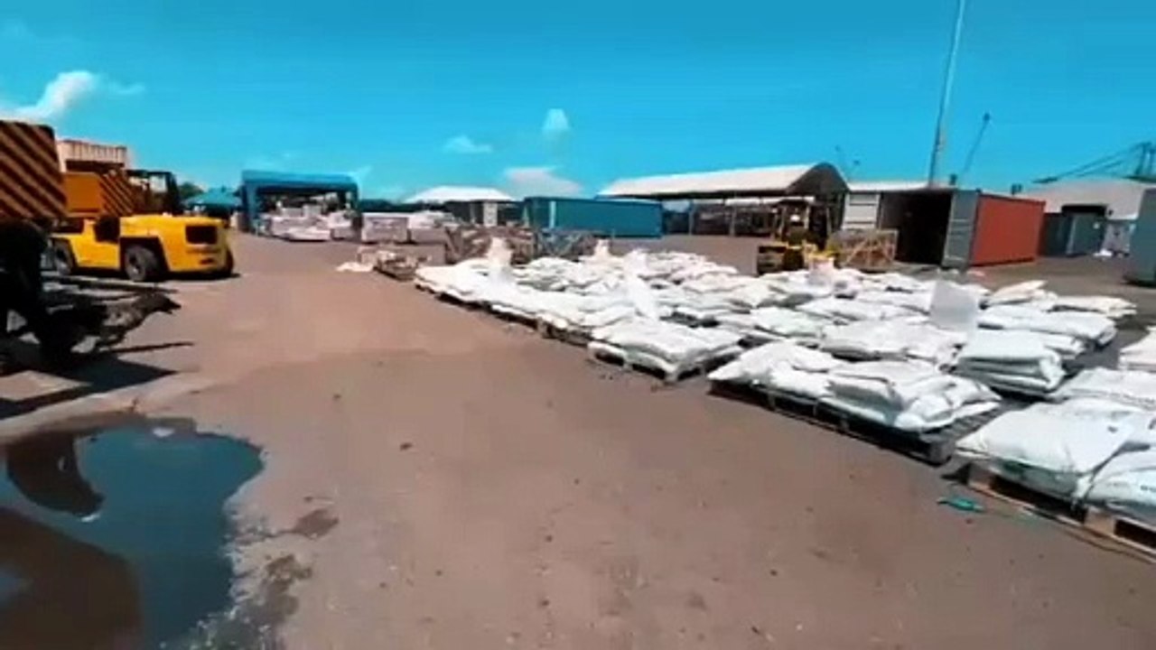 Operativo en el puerto de Cartagena: la Policía Antinarcóticos frena un cargamento de 5 toneladas de cocaína