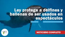 Ley protege a delfines y ballenas de ser usados en espectáculos | 783 | 04 al 10 de agosto 2025