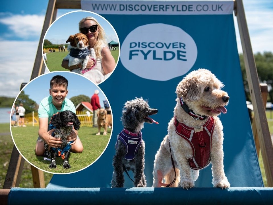 Fairhaven Dog Show: Adorable pooches enjoy tail-wagging day out
