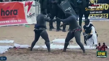 Discover the Legacy of Franc Bat Eumeu Séne 🐾 - thumbnail