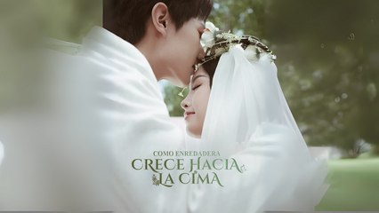 Como Enredadera, Crece Hacia La Cima Completo N