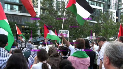 Mississauga Protest - Stop Starving Gaza Now!