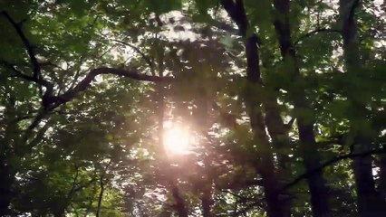 PEOPLE MAGAZINE INVESTIGATES SURVIVING A SERIAL KILLER S01E05 - SURVIVING THE HANDSOME DEVIL