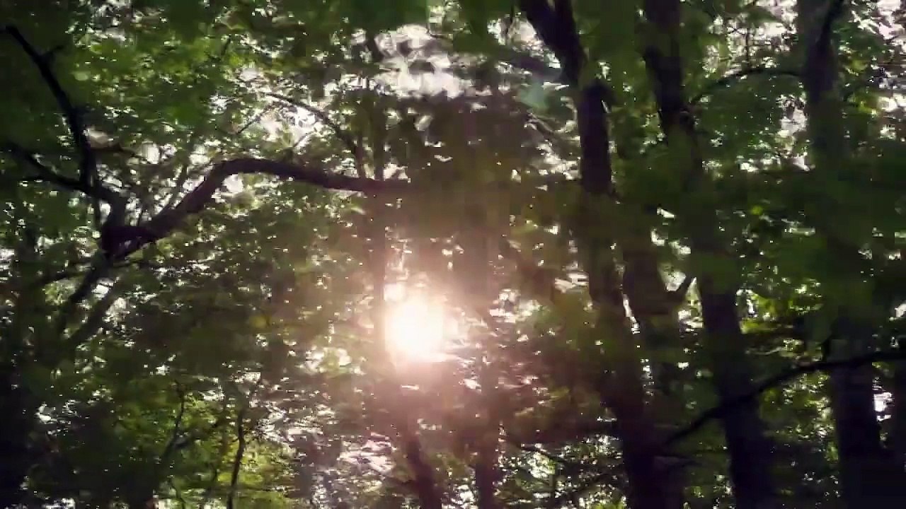 PEOPLE MAGAZINE INVESTIGATES SURVIVING A SERIAL KILLER S01E05 - SURVIVING THE HANDSOME DEVIL