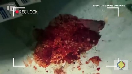 PEQUENAS CIDADES EM PÂNICO - T1 EP6 - INVESTIGAÇÃO DISCOVERY