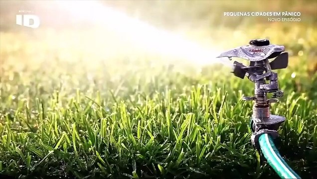 PEQUENAS CIDADES EM PÂNICO - O DESAPARECIMENTO DE ALEXIS MURPHY