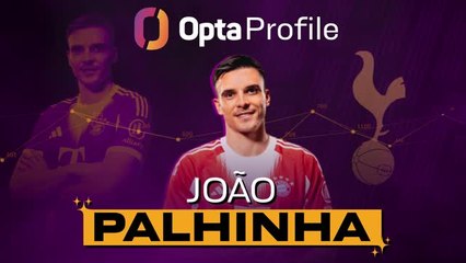 Joao Palhinha - Tottenham's new defensive demon