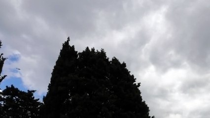 BAe 146-300 G-Luxe FAAM Airtask DCT146 Garda 26-7-2025 Aereo da Innsbruck a 400 metri di quota