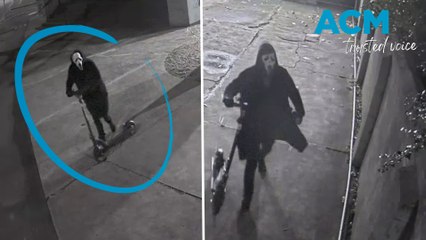 'Scream' mask-wearing vandal targets Melbourne synagogue in serial spray attacks