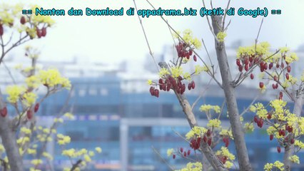 ( INDO SUB ) SWEETHEART SERVICE EPS 9