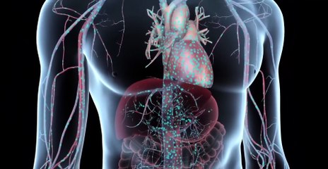 How Medications Get Absorbed By the Body