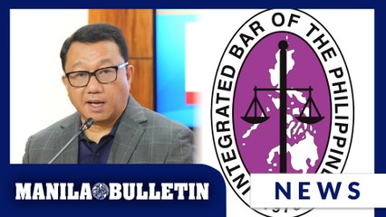Chua speaks out vs IBP support for SC ruling on impeachment