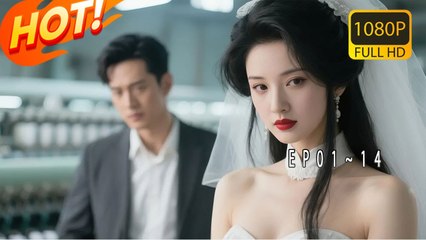 Rewind Time: He Gave Up His Future for Love, Only to Be Despised