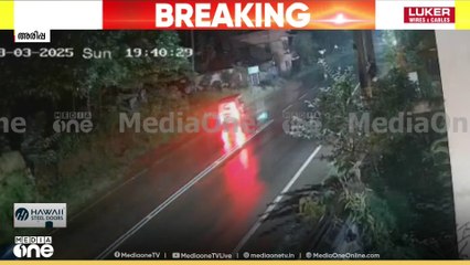 കൊല്ലത്ത് കാട്ടുപോത്തിന്റെ ആക്രമണത്തിൽ 5 പേർക്ക് പരിക്ക്