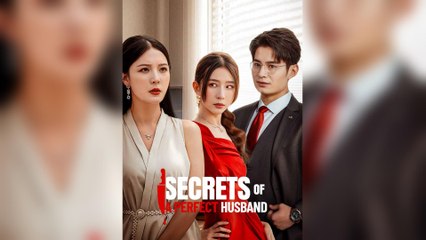 Secrets Of A Perfect Husband