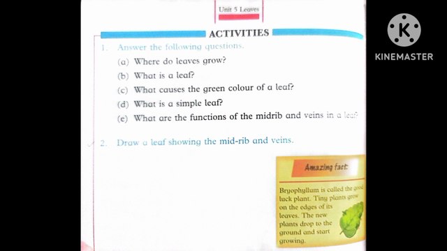 Oxford amazing science book 2 unit 5 leaves question answer solved exercise teacher's guide