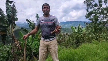 “Sembramos Vida, Encontramos Memoria y nos arrancaron los árboles”
