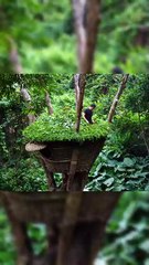 Build a warm and beautiful wooden house on the tree part2