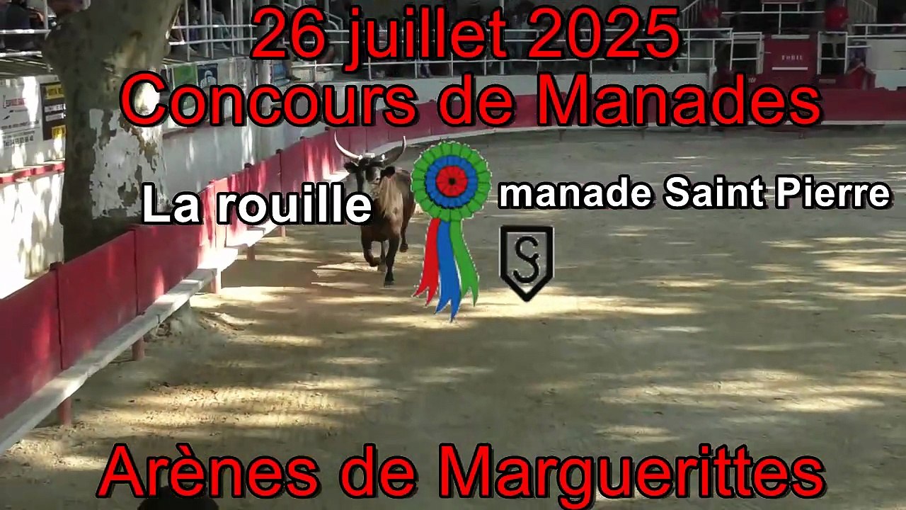 2025 07 26 La rouille