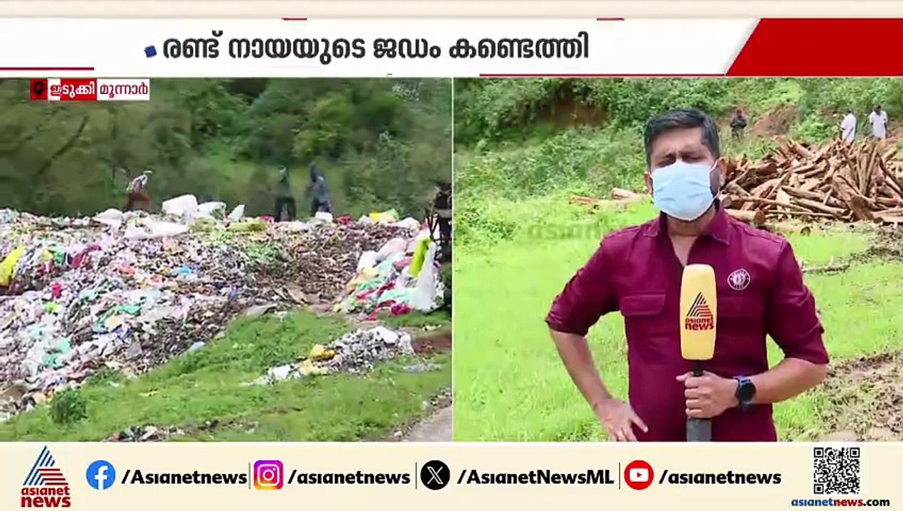 തെരുവ് നായ്ക്കളെ കൂട്ടത്തോടെ കുഴിച്ചിട്ടെന്ന പരാതി; കല്ലാര്‍ മാലിന്യ പ്ലാന്‍റില്‍ പരിശോധന