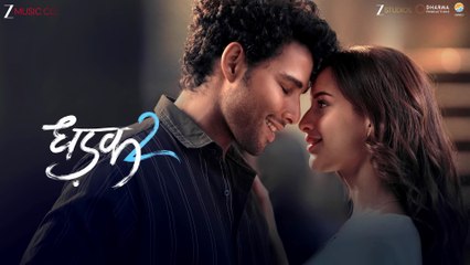 Tu Meri Dhadak Hai | Dhadak 2 | Siddhant C, Triptii Dimri | Vishal Mishra, Javed-Mohsin, Rashmi V