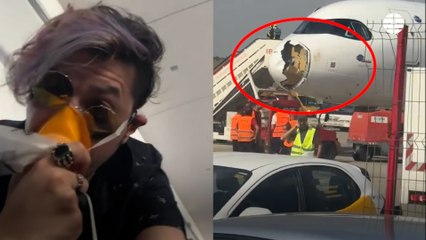 Momentos de pánico en un avión de Iberia tras chocar contra un buitre que destrozó la parte frontal