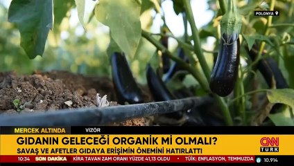 Dünya organik tarıma mı dönmeli?