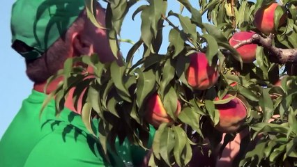 El paro baja en 1.357 personas en julio, hasta los 2,4 millones