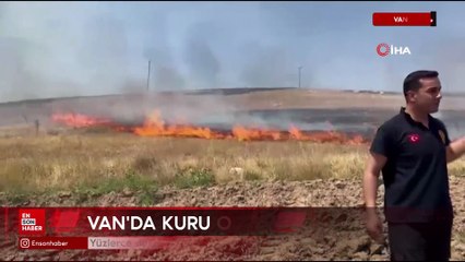 Van'da kuru ot yangınI