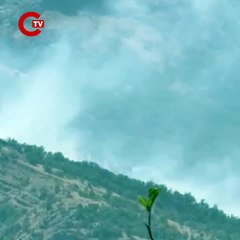Şırnak'ta orman yangını... Kontrol altına alınamıyor!