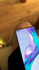 Watch the sunrise with your dog and enjoy the peaceful morning time