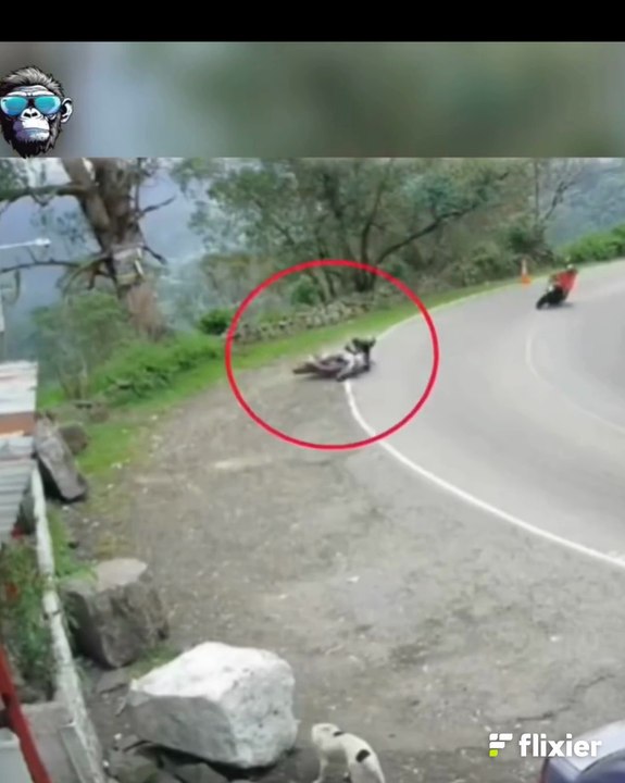 سرعة والغباء يتسببان في حوادث كارثية  _ Speed and stupidity cause catastrophic accidents.