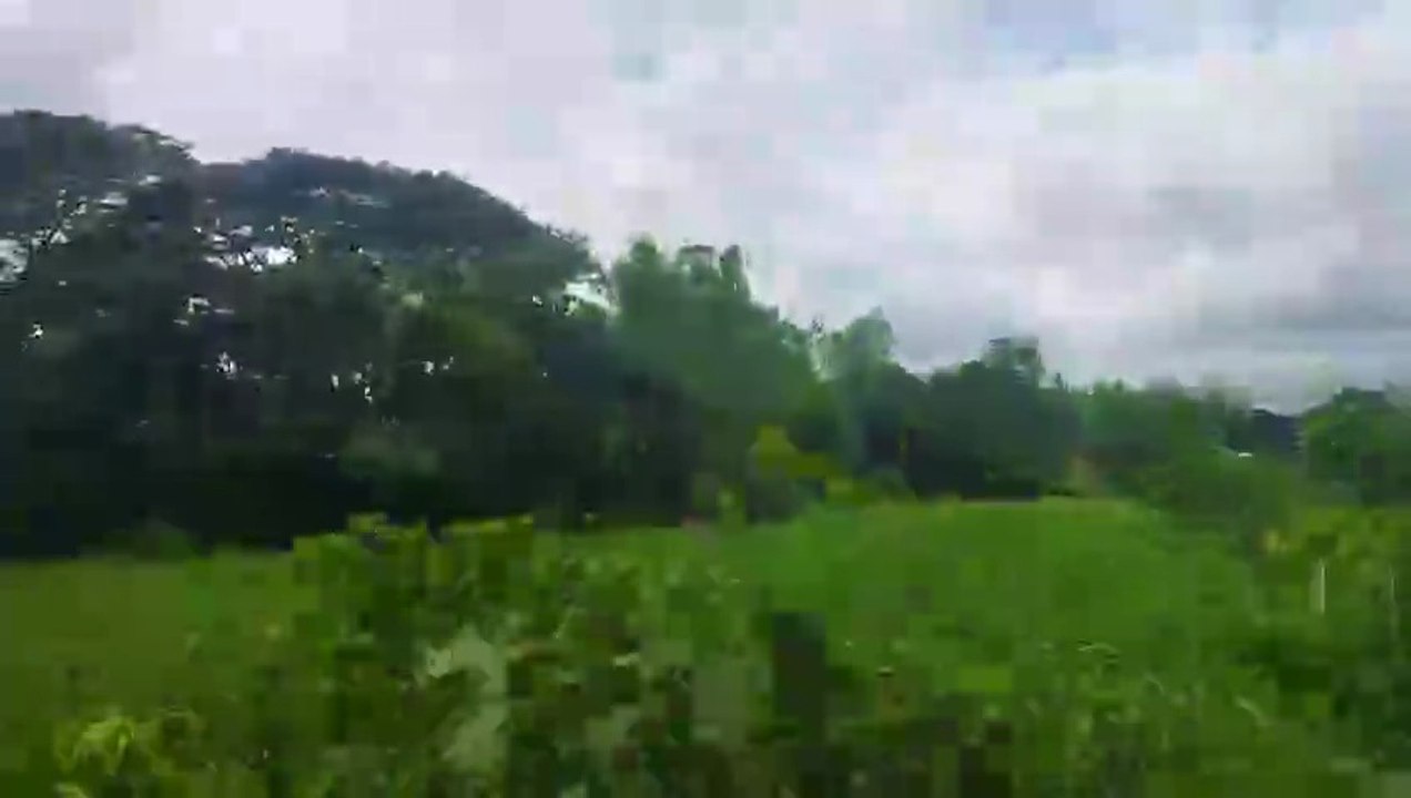 A Peaceful Village Scene with Reflective Waters and Lush Greenery | Serene Nature Vibes