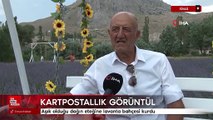 Sivas'ta aşık olduğu dağın eteğine lavanta bahçesi kurdu