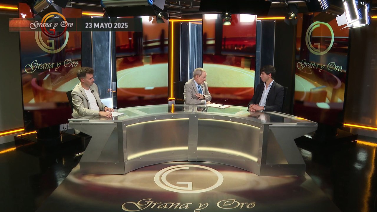 Entrevistas realizadas a Francisco José Espada, Julio Méndez, Álvaro Lorenzo, Javier Castaño, Fernando Adrián, Víctor Hernández y Mario Navas